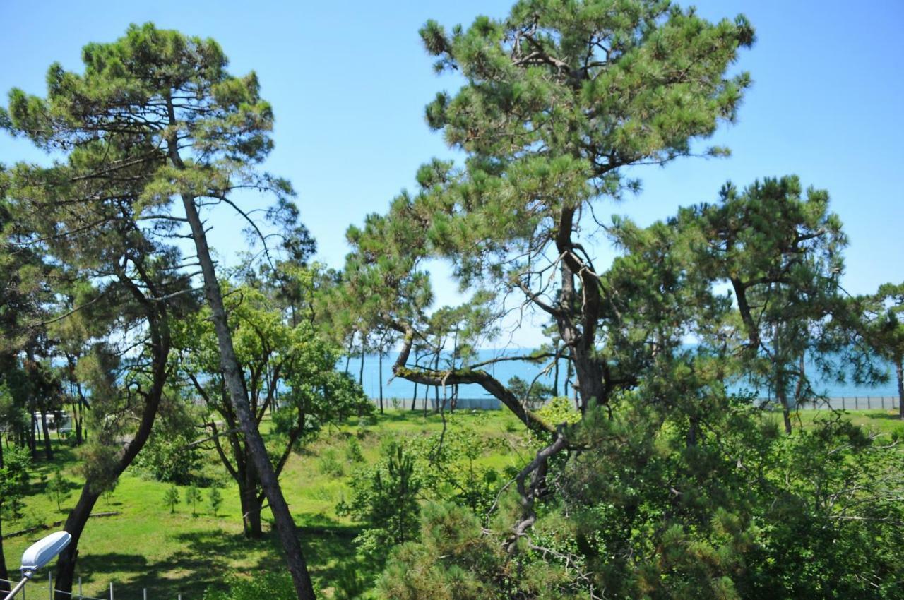 Hotel Horizon Kobuleti Exteriér fotografie